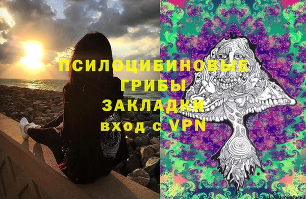 PSILOCYBIN Осинники