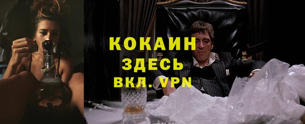 гидра Беломорск
