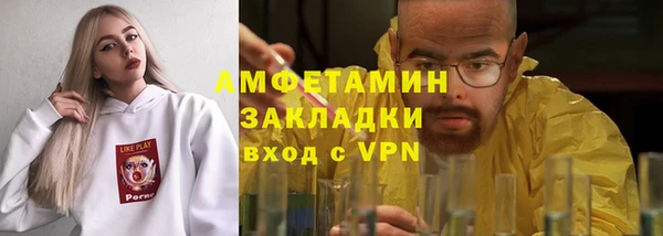 прущие грибы Осташков