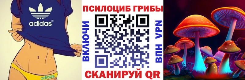 Галлюциногенные грибы Psilocybine cubensis Байкальск
